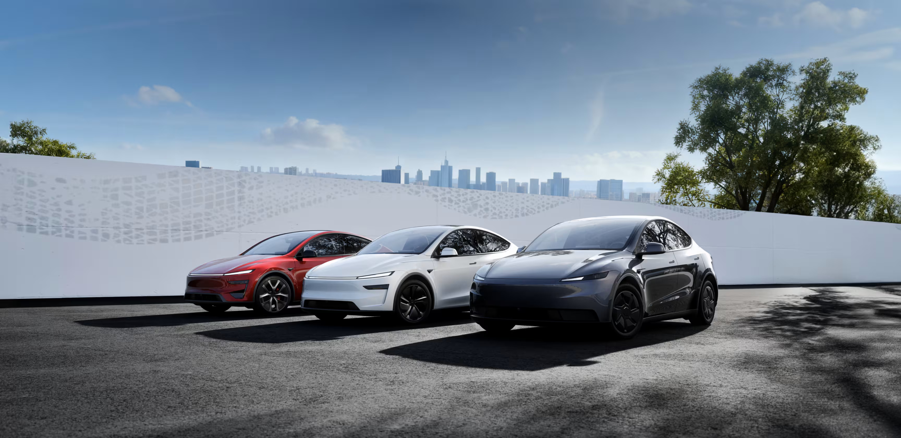 MODEL Y